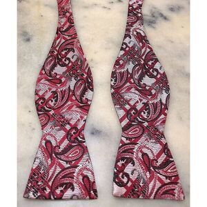 The Big Knot Steven Land 100% Silk Red Paisley Adjustable Self Tie Bow Tie